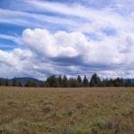 Thumbnail of Pretty 9.86 Acre Sycan Unit Ranch Property with Lush Meadow & Old Growth Timber near Merritt Creek Photo 8