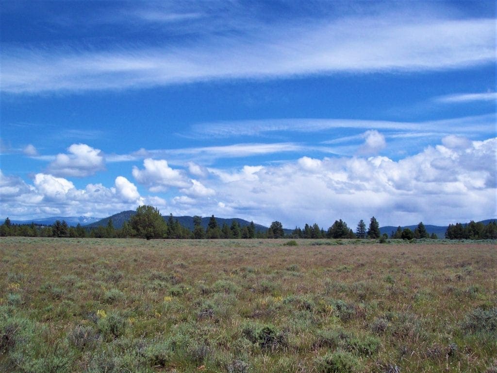 Large view of Amazing Sprague River Valley Views! 1.67 Acres in Klamath County, Oregon ~ Treed, Road, Wild Horses! Photo 17