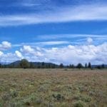 Thumbnail of 1.47 ACRES IN BEAUTIFUL OREGON PINES NEAR CALIFORNIA BORDER ADJOINING LOT AVAILABLE. Photo 7