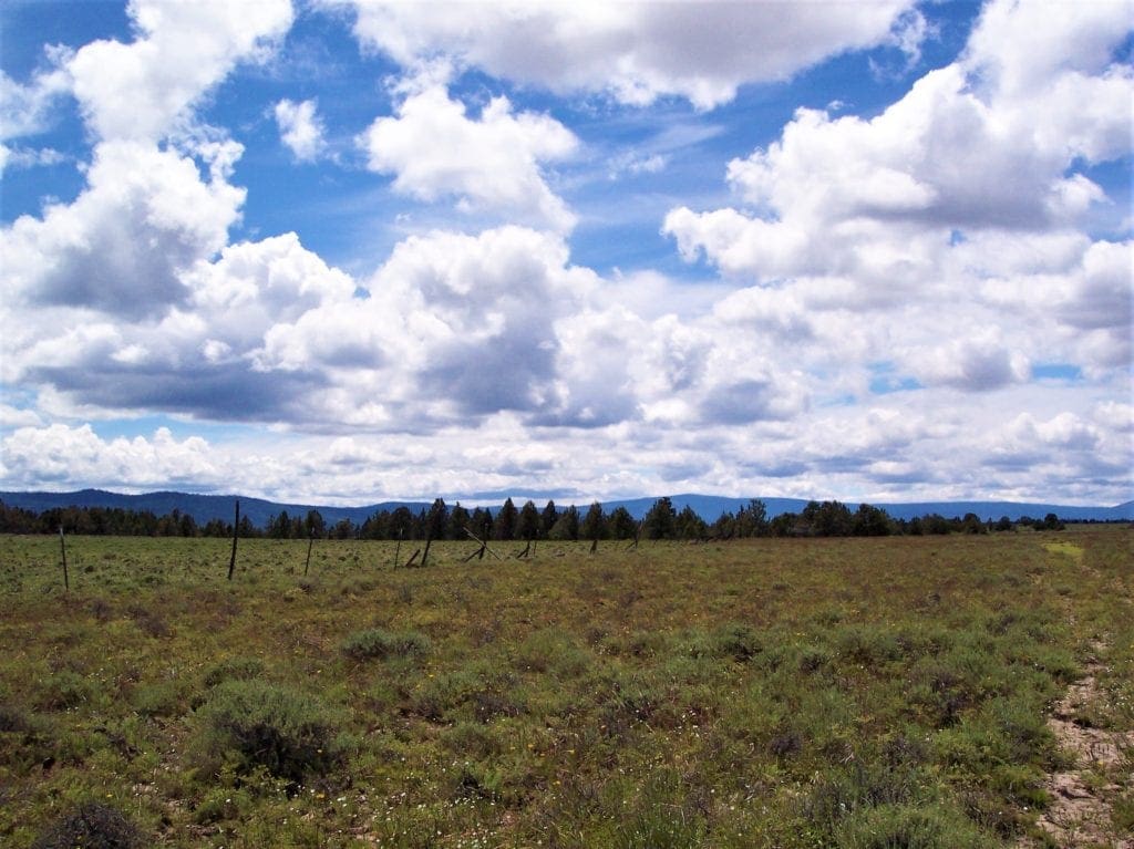 Large view of Amazing Sprague River Valley Views! 1.67 Acres in Klamath County, Oregon ~ Treed, Road, Wild Horses! Photo 16