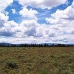 Thumbnail of Pretty 9.86 Acre Sycan Unit Ranch Property with Lush Meadow & Old Growth Timber near Merritt Creek Photo 6