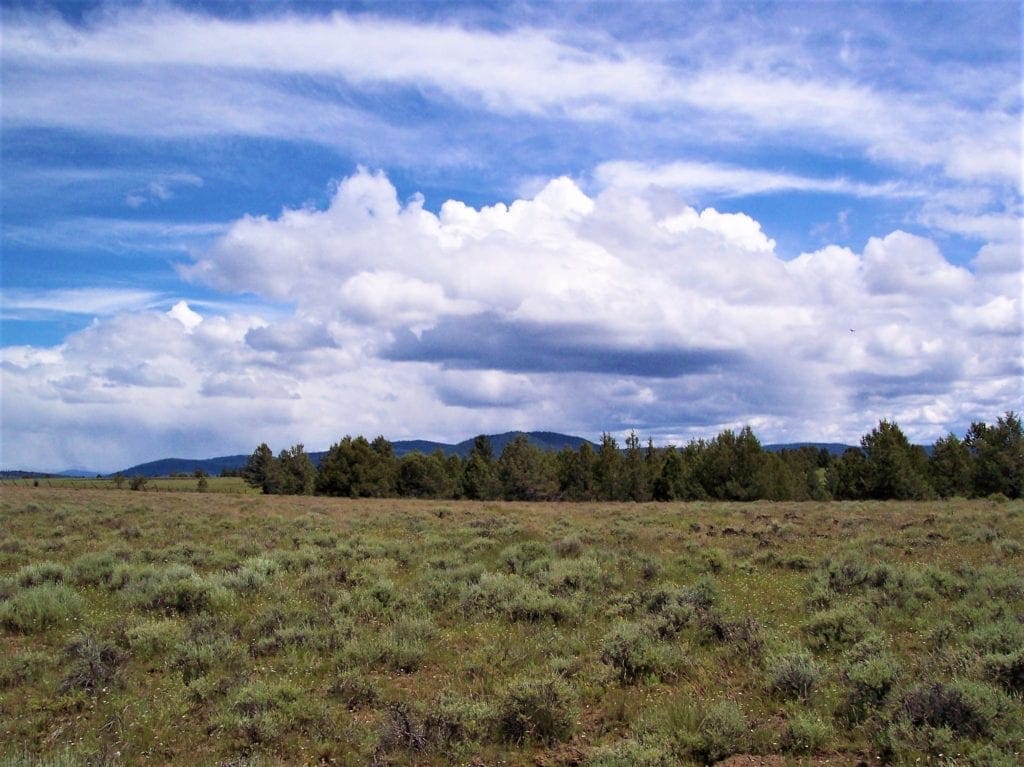 Large view of 11.31 Acre Lot In Klamath County that backs Fremont-Winema National Forest! Photo 8