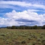 Thumbnail of 11.31 Acre Lot In Klamath County that backs Fremont-Winema National Forest! Photo 8