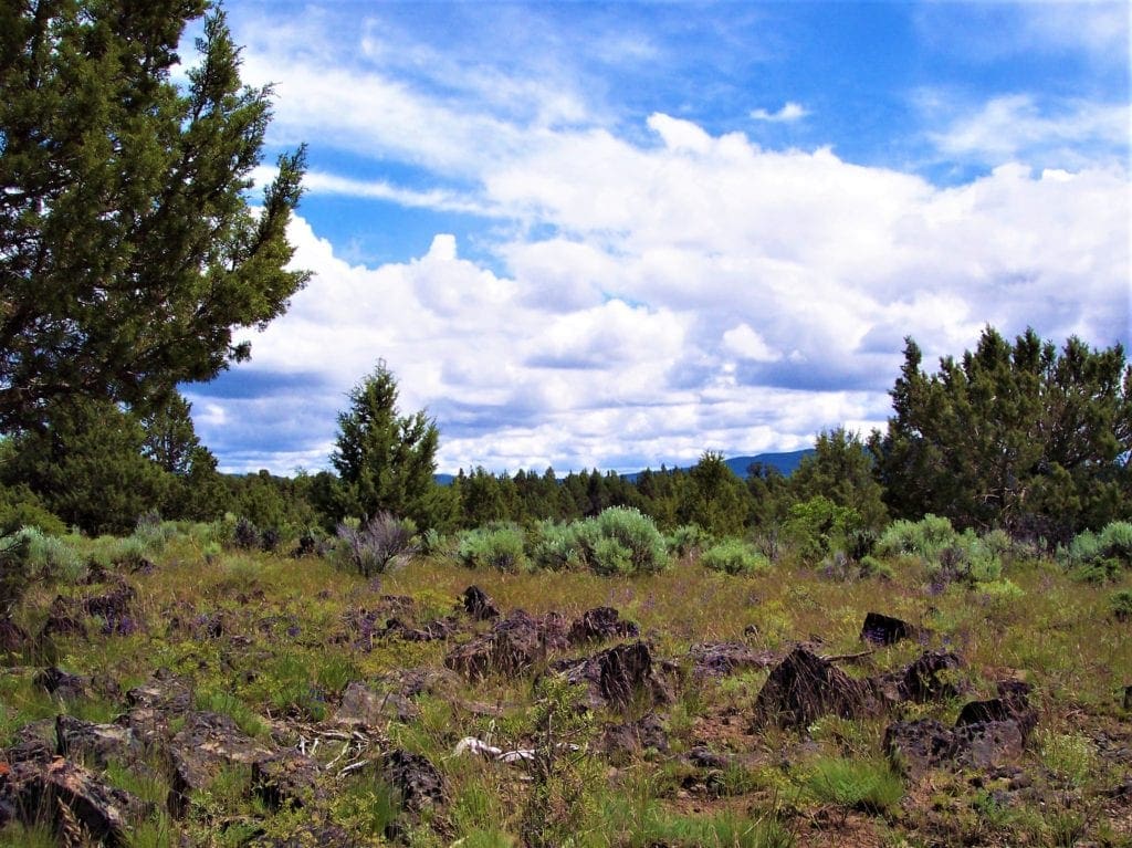 Large view of Amazing Sprague River Valley Views! 1.67 Acres in Klamath County, Oregon ~ Treed, Road, Wild Horses! Photo 5