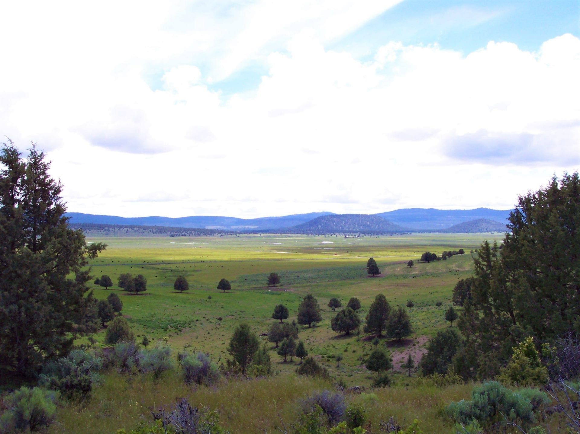 Amazing Sprague River Valley Views! 1.67 Acres in Klamath County, Oregon ~ Treed, Road, Wild Horses! photo 9
