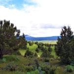 Thumbnail of Amazing Sprague River Valley Views! 1.67 Acres in Klamath County, Oregon ~ Treed, Road, Wild Horses! Photo 3
