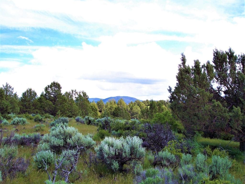 Large view of Amazing Sprague River Valley Views! 1.67 Acres in Klamath County, Oregon ~ Treed, Road, Wild Horses! Photo 21