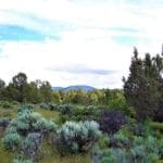 Thumbnail of Amazing Sprague River Valley Views! 1.67 Acres in Klamath County, Oregon ~ Treed, Road, Wild Horses! Photo 21