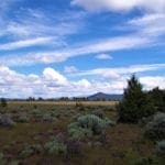 Thumbnail of 1.47 ACRES IN BEAUTIFUL OREGON PINES NEAR CALIFORNIA BORDER ADJOINING LOT AVAILABLE. Photo 9