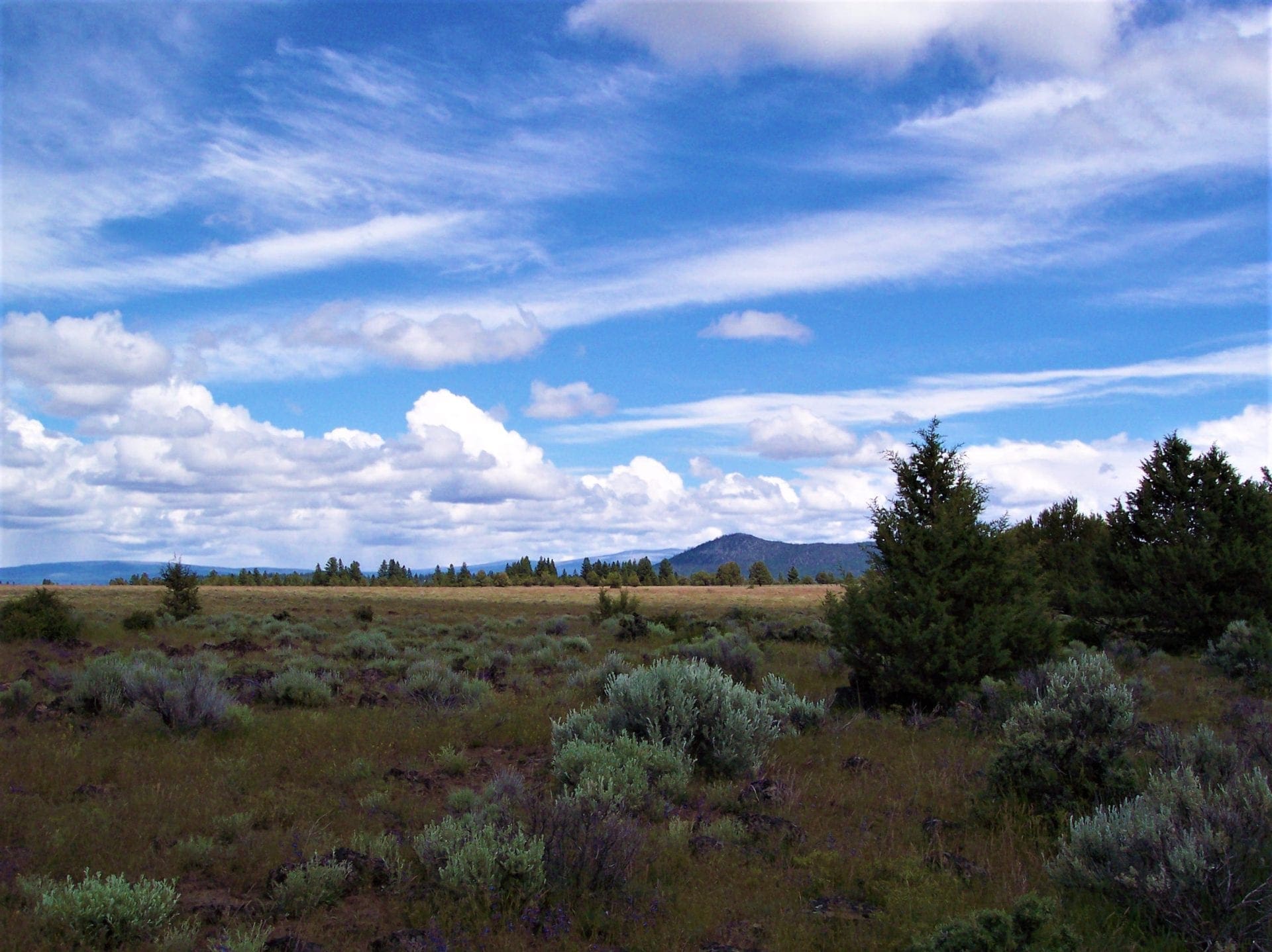 Amazing Sprague River Valley Views! 1.67 Acres in Klamath County, Oregon ~ Treed, Road, Wild Horses! photo 22