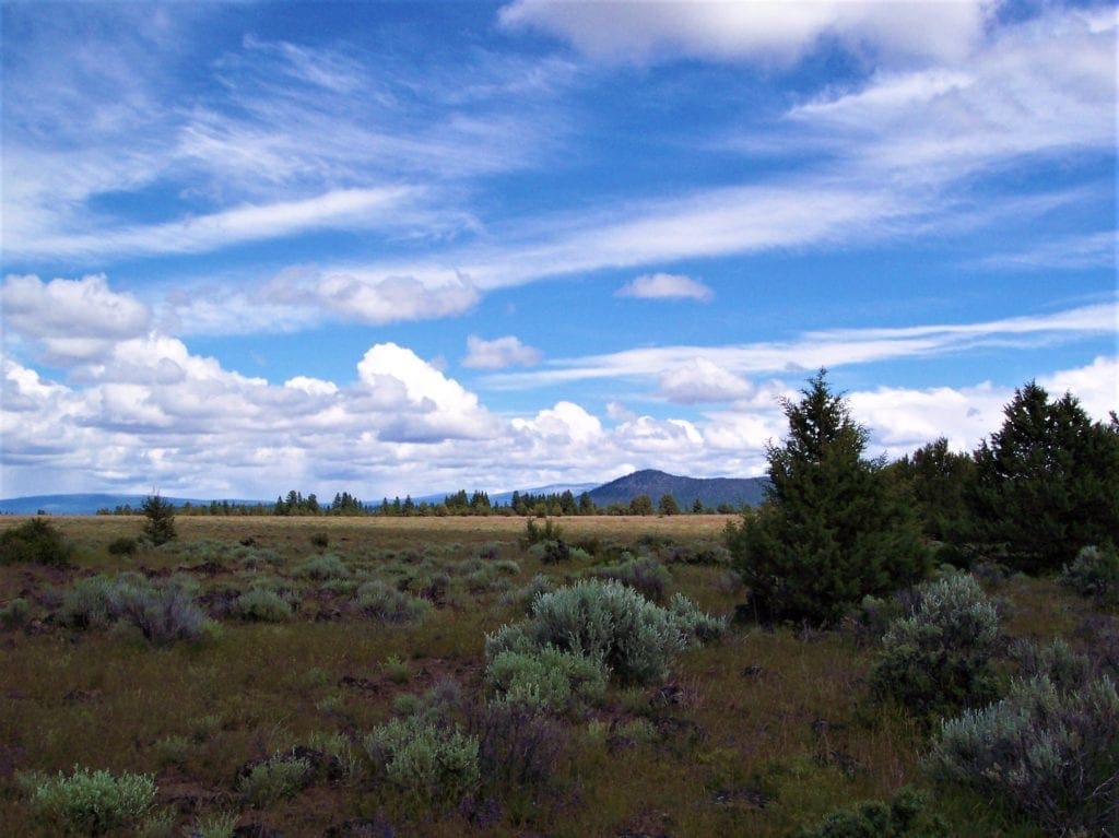 Large view of Amazing Sprague River Valley Views! 1.67 Acres in Klamath County, Oregon ~ Treed, Road, Wild Horses! Photo 15