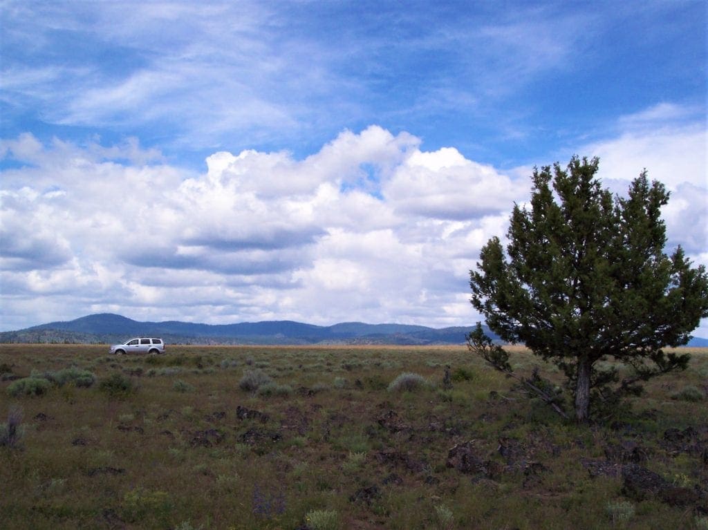 Large view of Amazing Sprague River Valley Views! 1.67 Acres in Klamath County, Oregon ~ Treed, Road, Wild Horses! Photo 7