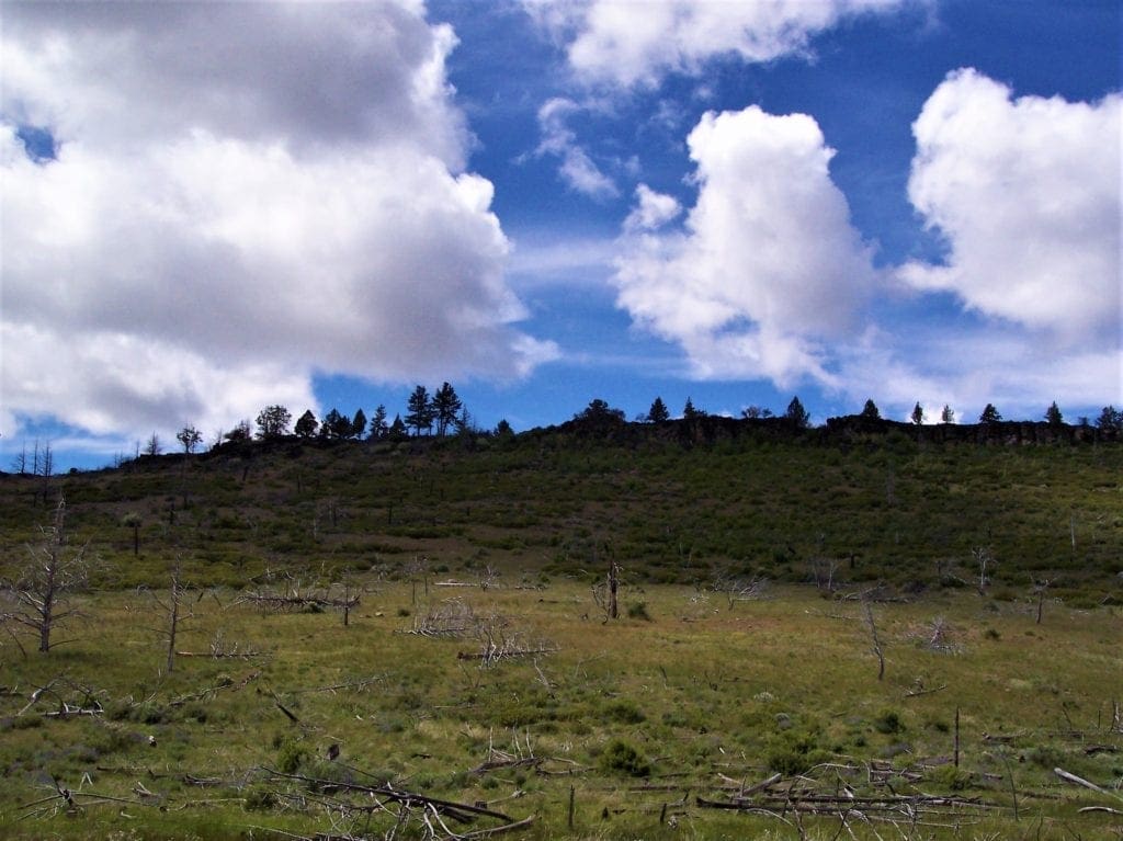 Large view of 11.31 Acre Lot In Klamath County that backs Fremont-Winema National Forest! Photo 7