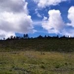 Thumbnail of 11.31 Acre Lot In Klamath County that backs Fremont-Winema National Forest! Photo 7