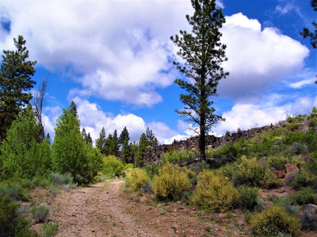 Large view of 1.49 ACRES~BEAUTIFUL OREGON PINES CORNER PARCEL WITH 360 DEGREE VALLEY AND MOUNTAIN VIEWS. Photo 8