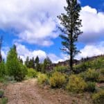 Thumbnail of 1.49 ACRES~BEAUTIFUL OREGON PINES CORNER PARCEL WITH 360 DEGREE VALLEY AND MOUNTAIN VIEWS. Photo 8