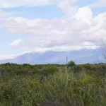 Thumbnail of 9.98 ACRES IN SUNNY SOUTHERN COLORADO ~ BEAUTIFUL RANCH IN MT. BLANCA VALLEY RANCHES~ MILLION DOLLAR VIEWS! Photo 1