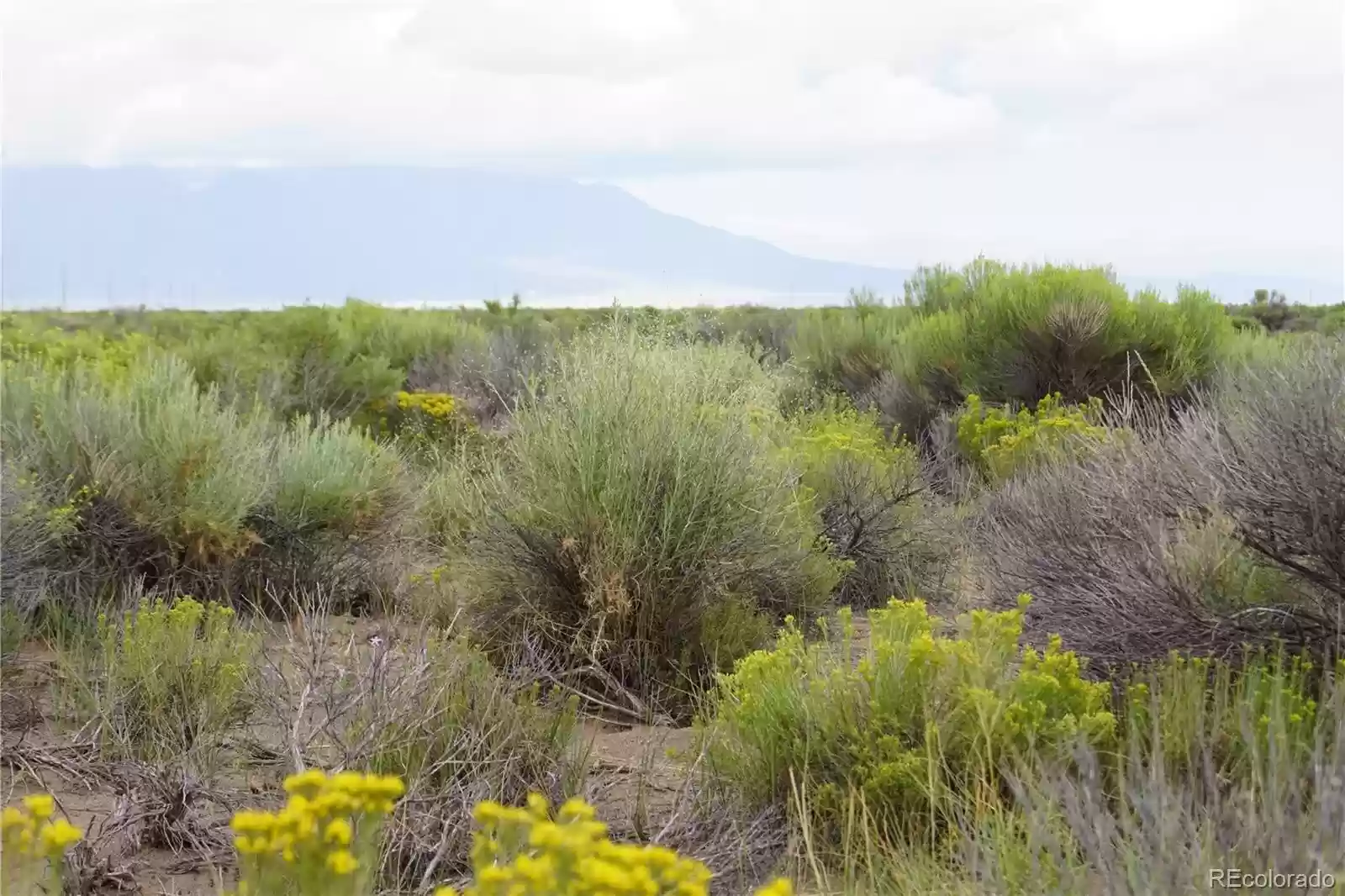 9.98 ACRES IN SUNNY SOUTHERN COLORADO ~ BEAUTIFUL RANCH IN MT. BLANCA VALLEY RANCHES~ MILLION DOLLAR VIEWS! photo 3