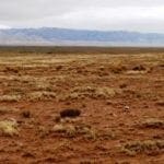 Thumbnail of Gorgeous building lot in Tierra Grande New Mexico with Power and Road! Photo 1