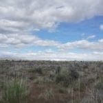 Thumbnail of Beautiful 2.27 Acres near Elko and the Ruby Mountains with 360 Degree views! Photo 2