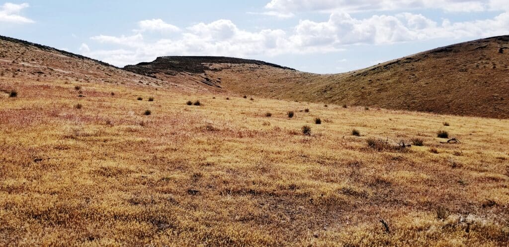 Large view of 320.63 ACRES~EUREKA CO, NEVADA GORGEOUS MOUNTAINTOP LAND~NEAR ACTIVE GOLD MINES~BORDERS B.L.M. ON 3 SIDES~VIEWS, WILDLIFE, NO ZONING DO WHAT YOU WANT! Photo 4