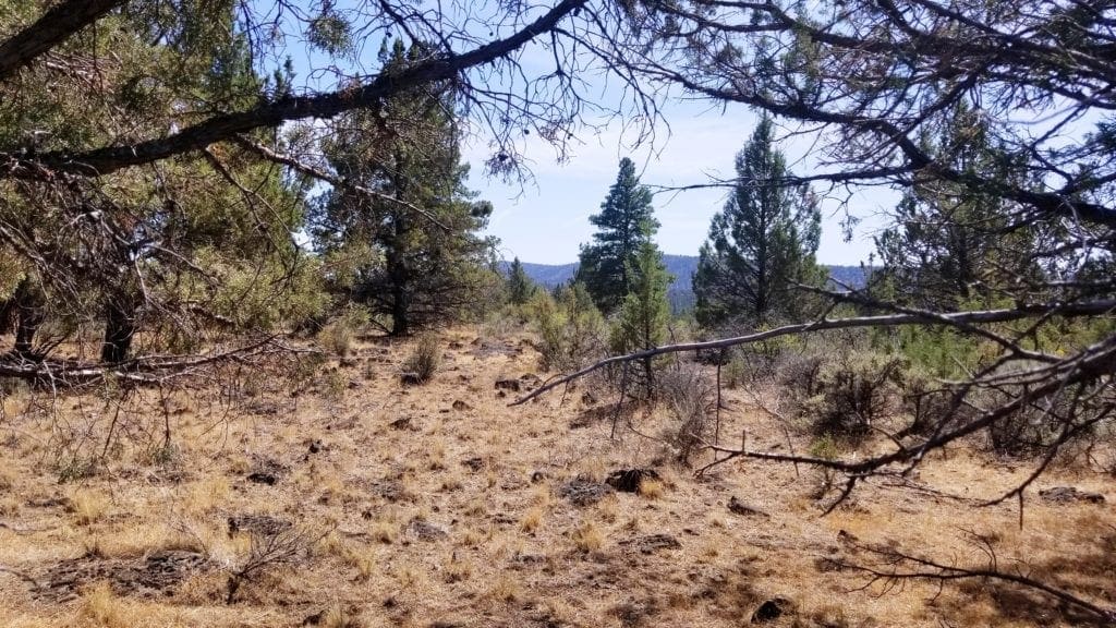 Large view of Biggest Lot On the Block! 3.89 Acres in Klamath County, Oregon Photo 3