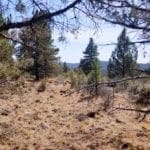 Thumbnail of Biggest Lot On the Block! 3.89 Acres in Klamath County, Oregon Photo 3