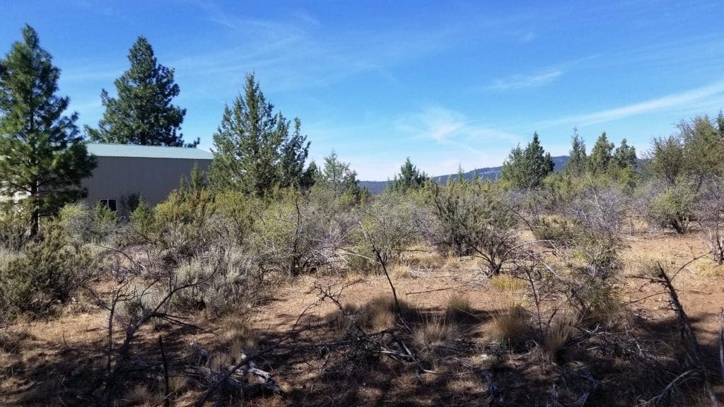 Large view of Biggest Lot On the Block! 3.89 Acres in Klamath County, Oregon Photo 5