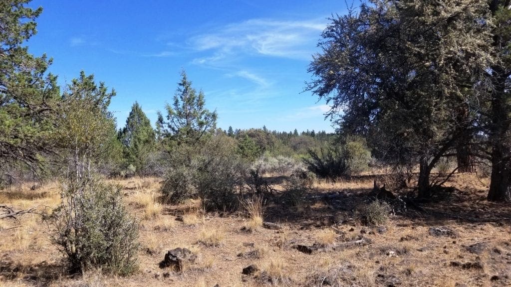 Large view of Biggest Lot On the Block! 3.89 Acres in Klamath County, Oregon Photo 2