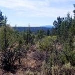 Thumbnail of Biggest Lot On the Block! 3.89 Acres in Klamath County, Oregon Photo 6