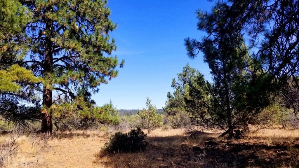 Large view of Biggest Lot On the Block! 3.89 Acres in Klamath County, Oregon Photo 8