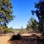 Thumbnail of Biggest Lot On the Block! 3.89 Acres in Klamath County, Oregon Photo 8