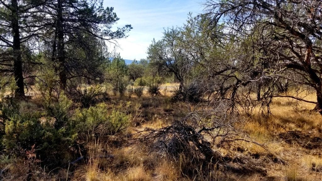 Large view of Biggest Lot On the Block! 3.89 Acres in Klamath County, Oregon Photo 10