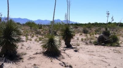 Own a Piece of the American Southwest! 2 Adjoining Lots Near Deming! photo 4