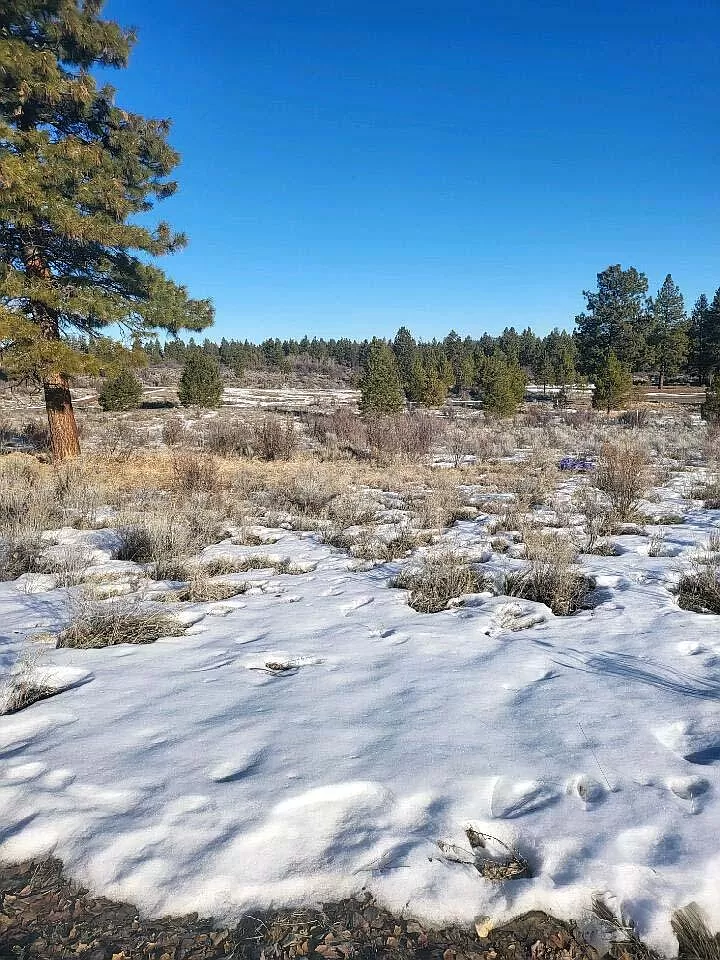 Large view of 0.47 AC BUILDING LOT IN BEAUTIFUL OREGON SHORES NEAR CRATER LAKE & CALIFORNIA BORDER. Photo 7
