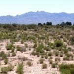 Thumbnail of Rare! Three Separate Lots For Sale In Luna County, New Mexico! Photo 1