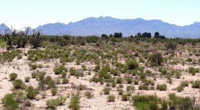 Own a Piece of the American Southwest! 2 Adjoining Lots Near Deming! photo 1