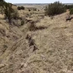 Thumbnail of 40.64 ACRES IN GORGEOUS LAS ANIMAS COUNTY, COLORADO ~ TREED PROPERTY IN THE HILLS NEAR NEW MEXICO BORDER. Photo 8