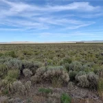 Thumbnail of 5.00 Acres in Beautiful White Pine County with Spectacular Diamond Range Views & Adjacent to Alfalfa Fields in Eastern Nevada Photo 2