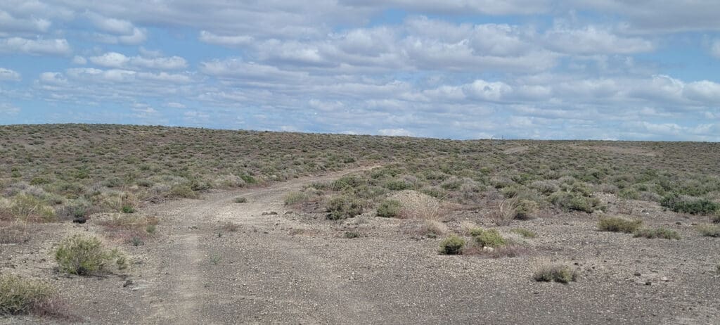 Large view of 40.00 ACRES IN CHURCHILL COUNTY, NEVADA NEAR FERNLEY, CARSON CITY & LAHONTAN RESERVOIR~SHORT DRIVE TO CALIFORNIA~~GORGEOUS VIEWS Photo 5