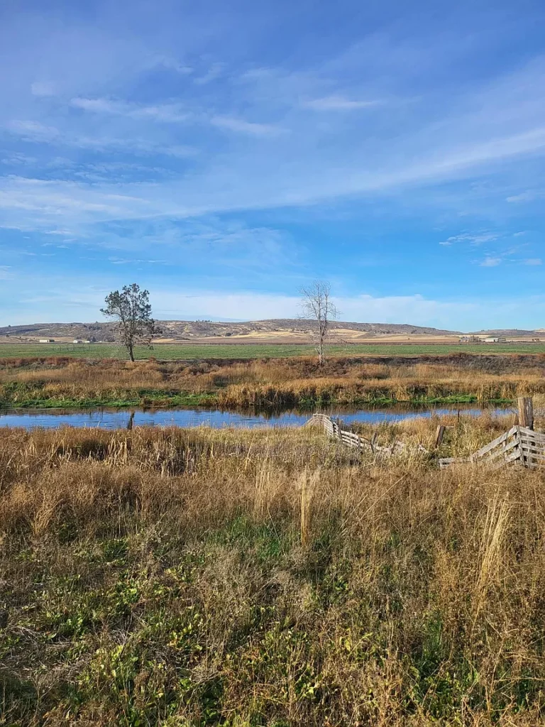 Large view of 2.72 ACRES IN GORGEOUS KLAMATH COUNTY, OREGON ~ LOST RIVER FRONTAGE/HIGHWAY FRONT IN BEAUTIFUL MERRILL Photo 1