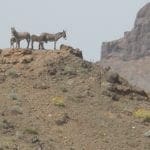 Thumbnail of 22.18 Acres in Arizona’s Yuma Co with HWY 8 Frontage a possible Commerical Billboard Lot Near Yuma Photo 5