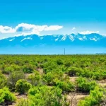 Thumbnail of 3.27 ACRES IN CRESTONE, COLORADO WITH BEAUTIFUL VIEWS OF THE SOUTHERN ROCKY MOUNTAINS AND BACKS CREEK. Photo 1