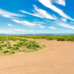 Thumbnail of 40.00 ACRES IN GORGEOUS SAGUACHE CO, COLORADO ~ SCENIC MOUNTAIN VIEWS ~ BIG GAME ~ WATER WELL! Photo 1