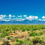 Thumbnail of 40.00 ACRES IN GORGEOUS SAGUACHE CO, COLORADO ~ SCENIC MOUNTAIN VIEWS ~ BIG GAME ~ WATER WELL! Photo 6
