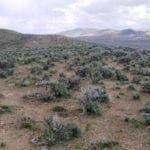Thumbnail of Secluded 1.14 Acres with Intermittent Stream, 7th St, Elko Nevada Photo 3