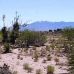 Thumbnail of Own a Piece of the American Southwest! 2 Adjoining Lots Near Deming! Photo 3