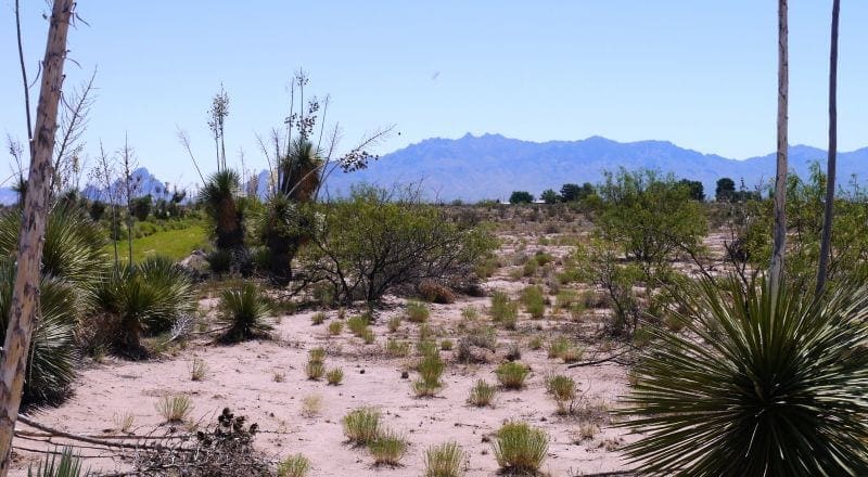 Own a Piece of the American Southwest! 2 Adjoining Lots Near Deming! photo 3