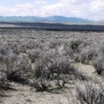 Thumbnail of Secluded 1.14 Acres with Intermittent Stream, 7th St, Elko Nevada Photo 8