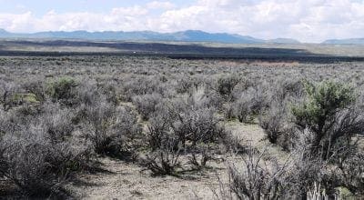 Large view of Secluded 1.14 Acres with Intermittent Stream, 7th St, Elko Nevada Photo 8